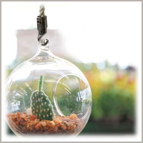 christmas succulent terrariums Mini Glass Blown Terrarium – Pepperell Crafts