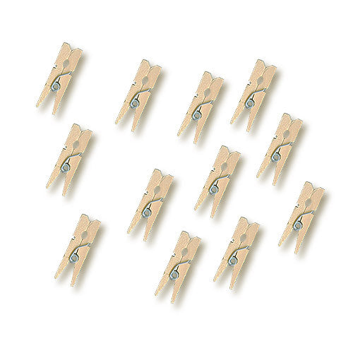 Mini Spring Clothes Pins
