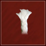 Fiberglass Candle Wick Samples, 5 Diameter Options, Oil Lamps, Tiki Torches, High-Heat Wicking