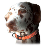 Reflective Safety Buckle, 15mm or 20mm, Plastic, Dog Collar Crafts, Paracord Pet Accessories, DIY Pet Projects