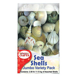 Seashell Assortment, Boxed 2.5 lb Bulk Pack, Macrame Embellishment, Coastal Wall Art, Home Decor Crafts, Dreamcatchers