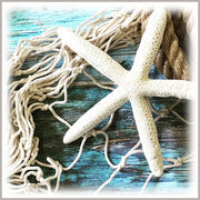 Decorative Starfish 6 inch, Natural, 2-Pack, Macrame Wall Art, Coastal Home Decor, Craft Embellishment, Wreaths