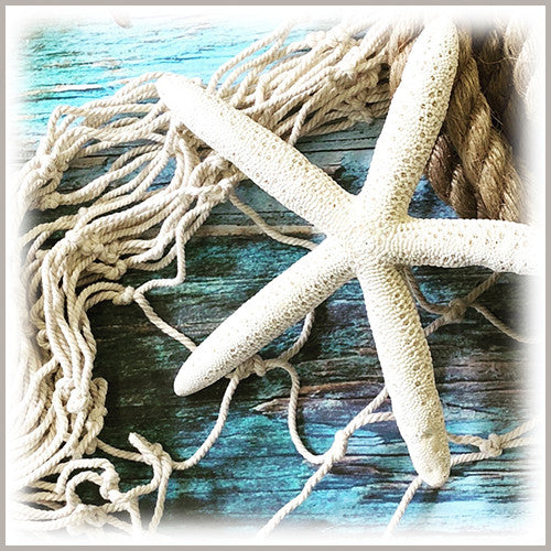 6 inch Star Fish - 2 pack