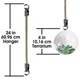 Mini Hanging Terrarium with Macrame Hanger, Glass Vessel, Succulents, Air Plants, Boho Home Decor, Gift Making