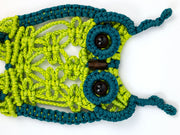 Designer Macrame Kits, 5 Project Styles (Plant Hangers, Terrarium, Dreamcatcher, Owl), Home Decor and Wall Art