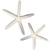 Decorative Starfish 6 inch, Natural, 2-Pack, Macrame Wall Art, Coastal Home Decor, Craft Embellishment, Wreaths